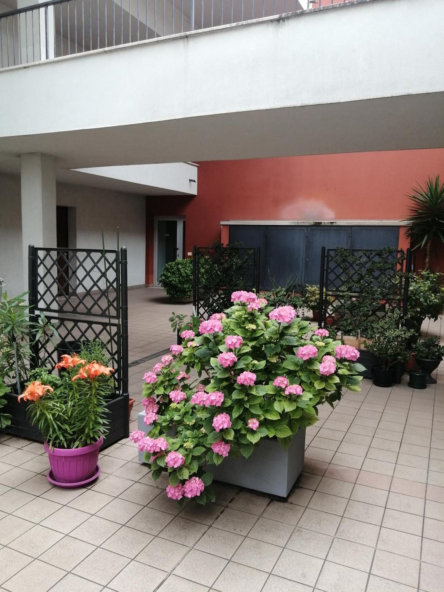 Hotel 1000Migliahouse Brescia Exterior foto